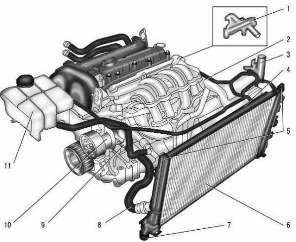 Система охлаждения двигателя форд фокус 1